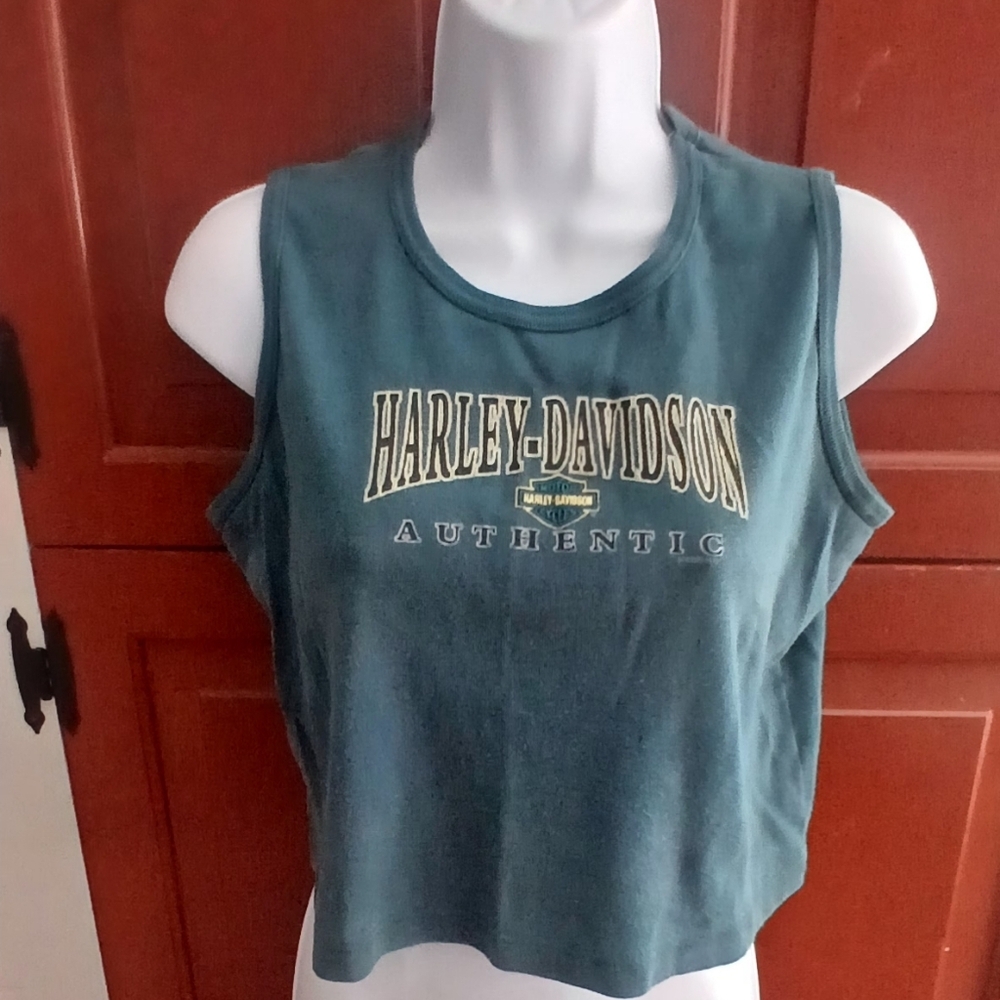 Harley-Davidson Authentic Teal Tee Sz L